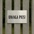 Tabliczka "Uwaga Pies!" o wymiarach 24x16 cm, zamontowana na betonowym płocie.